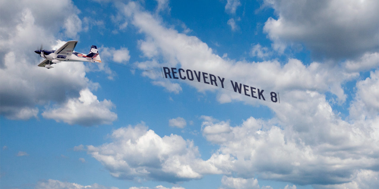 Recovery Week 8
